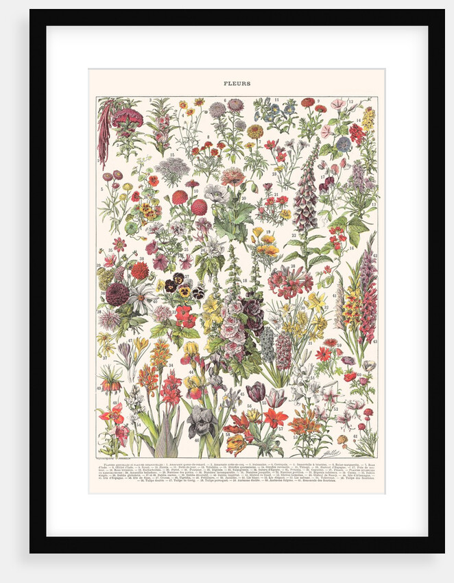 Fleur I - ASTER EDITION, 2023 by Florent Bodart