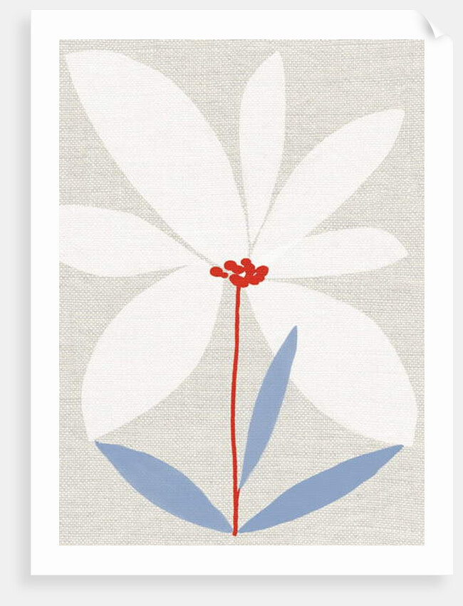 Printed Daisy, 2018 by Jenny Frean