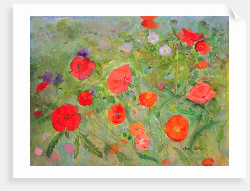 Arpeggiando, 1998 by Ann Patrick