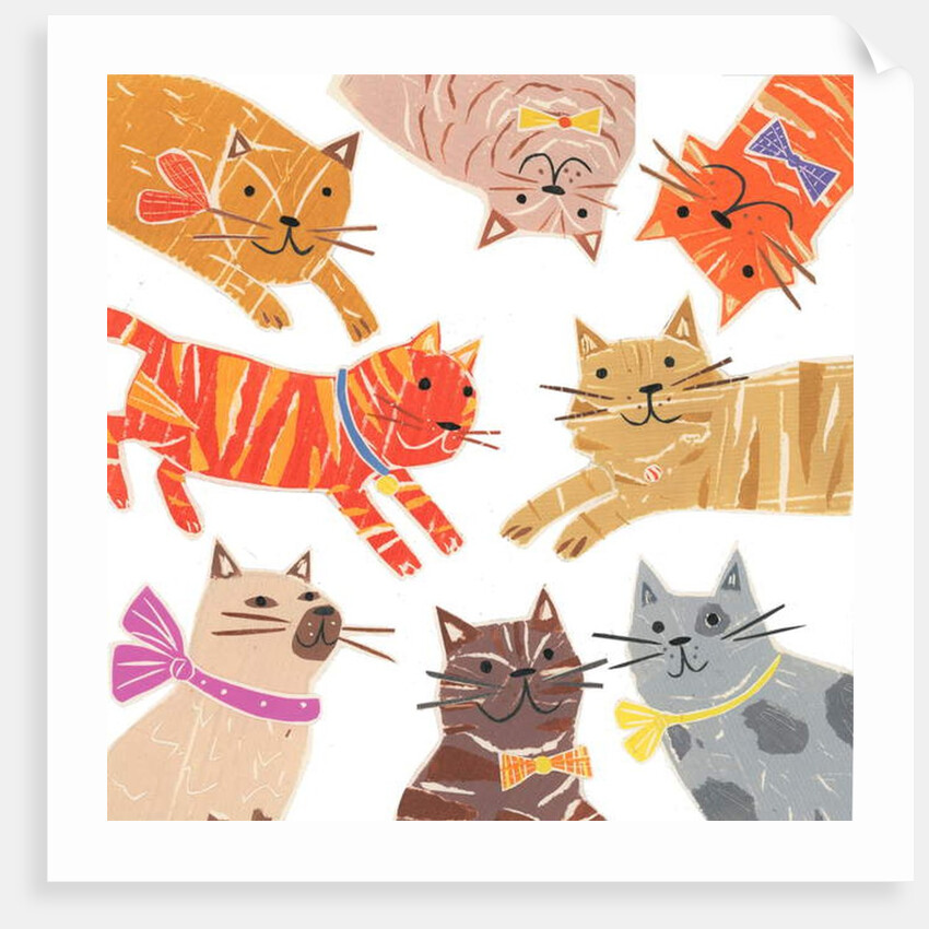 Cats,Cats Cats, 2018 by Sarah Battle