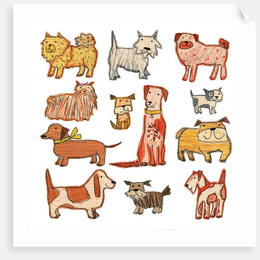 woof x 13, 2017 by Sarah Battle