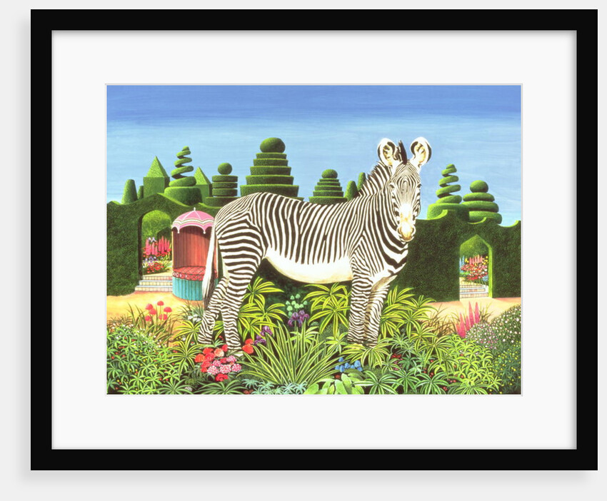 Zebra in a Garden, 1977 by Anthony Southcombe