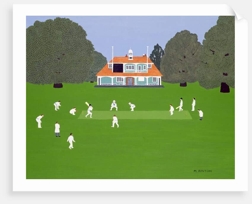 Cricket Match by Micaela Antohi
