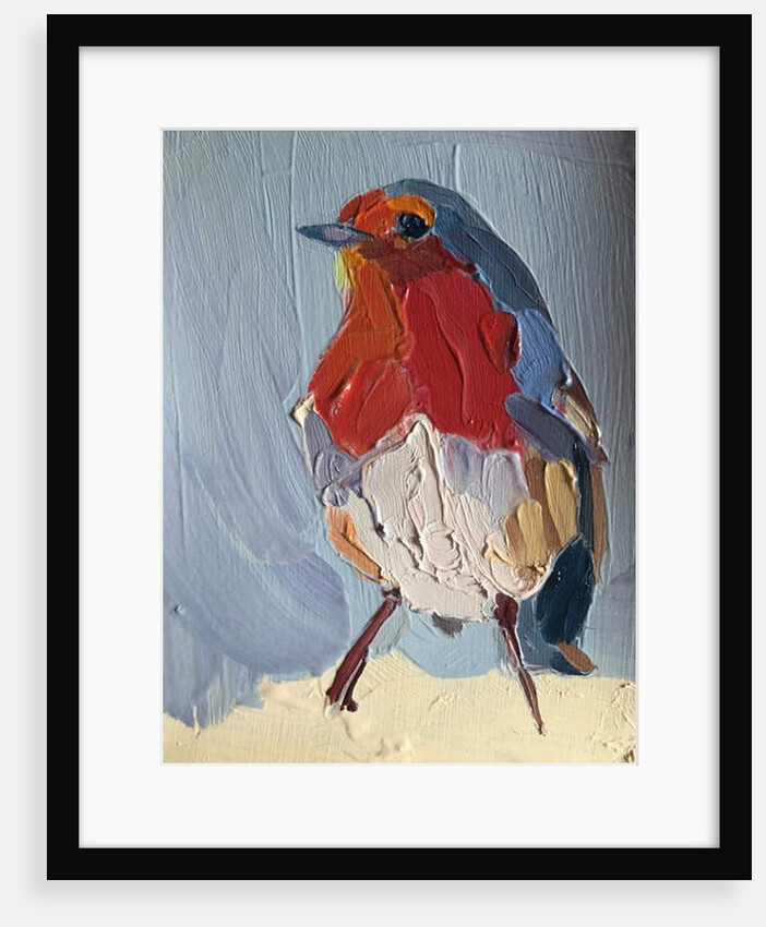 robin, 2016 by Barbara Hoogeweegen