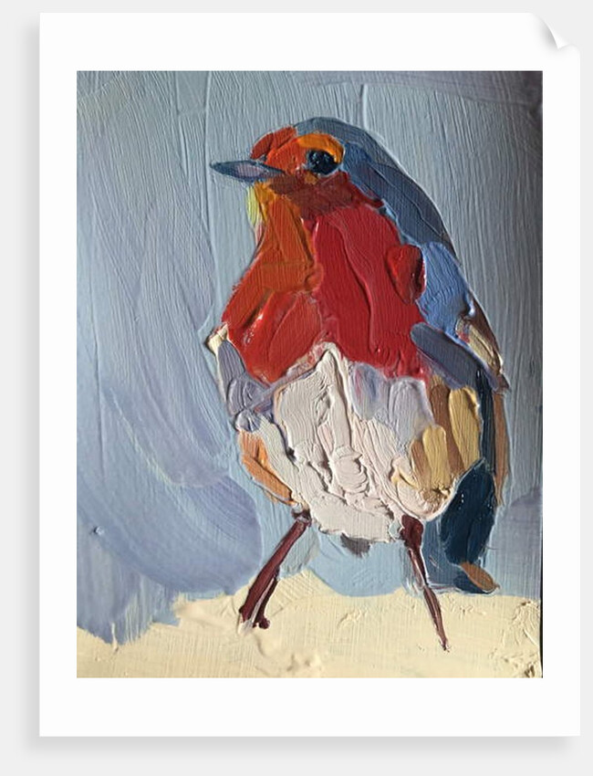 robin, 2016 by Barbara Hoogeweegen