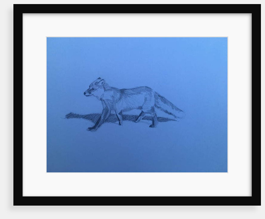 Fox, 2018 by Barbara Hoogeweegen