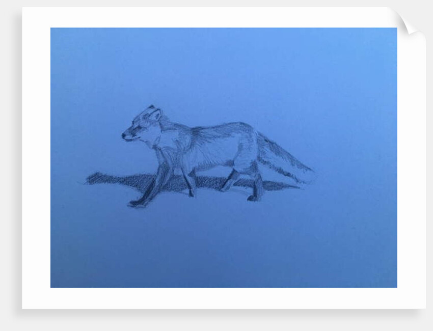 Fox, 2018 by Barbara Hoogeweegen