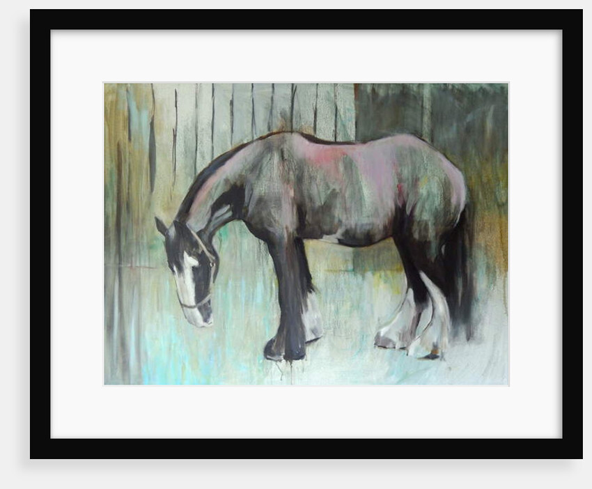 Morpheus in January, 2013 by Sheri Gee