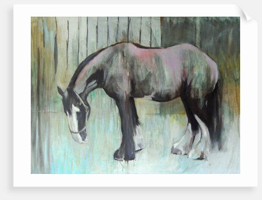 Morpheus in January, 2013 by Sheri Gee