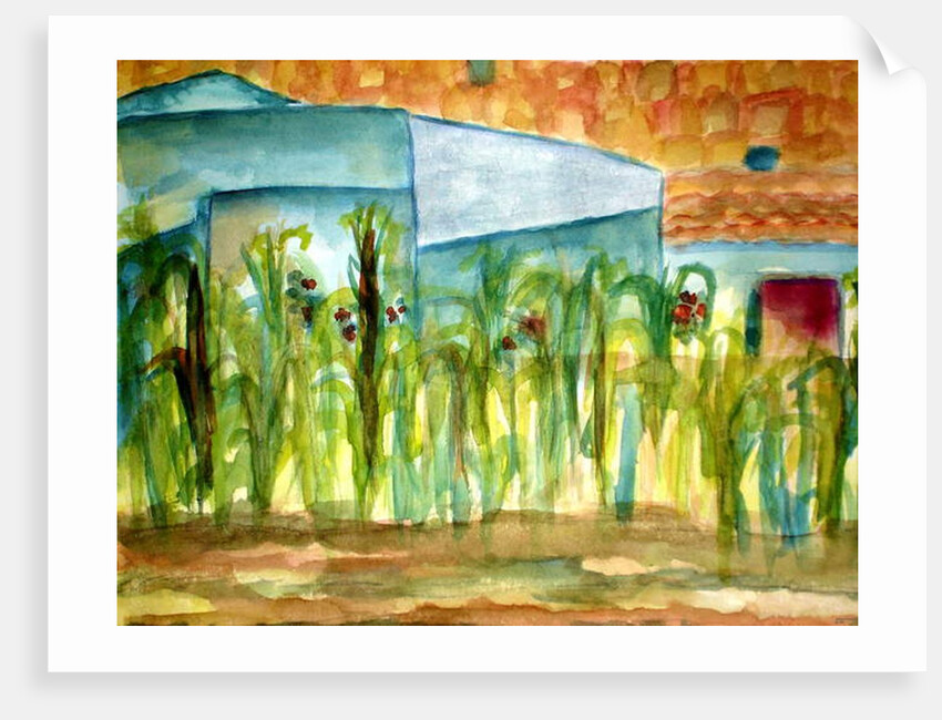 Maiz, 1980 by Deborah Eve Alastra