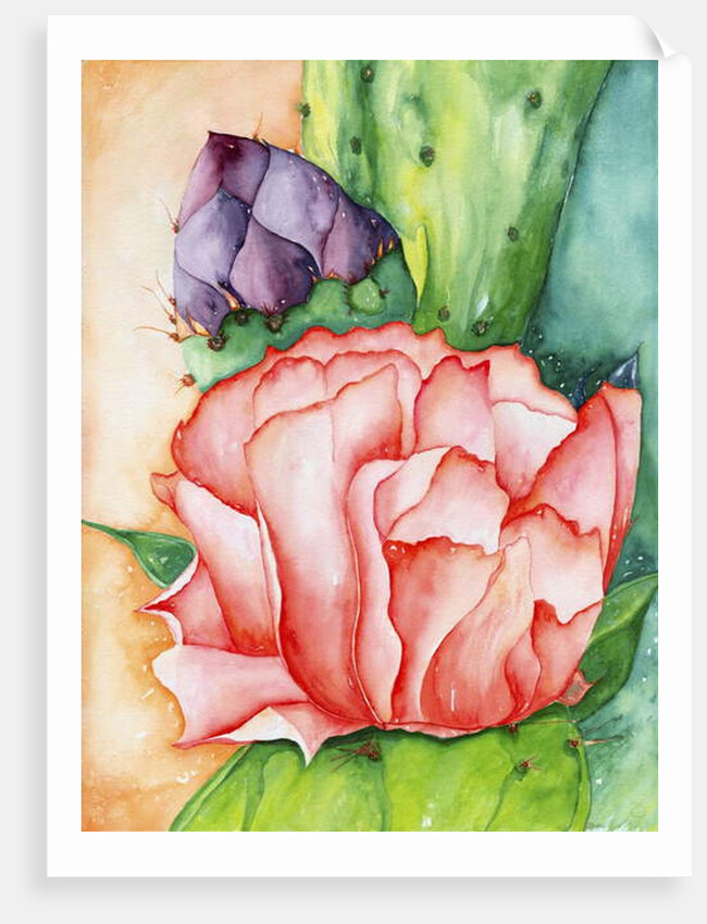 Desert Bloom, 2007 by Deborah Eve Alastra