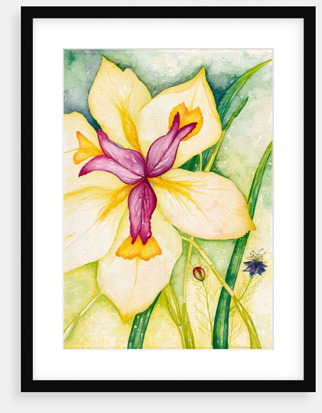 Lily and Friends, 2007 by Deborah Eve Alastra