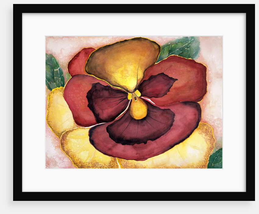 Pansey, 2007 by Deborah Eve Alastra