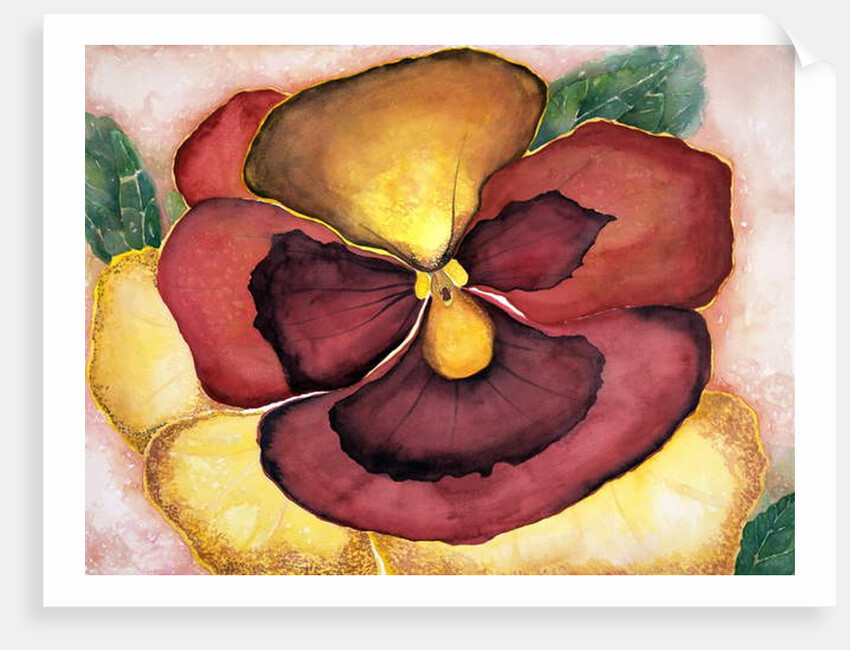 Pansey, 2007 by Deborah Eve Alastra