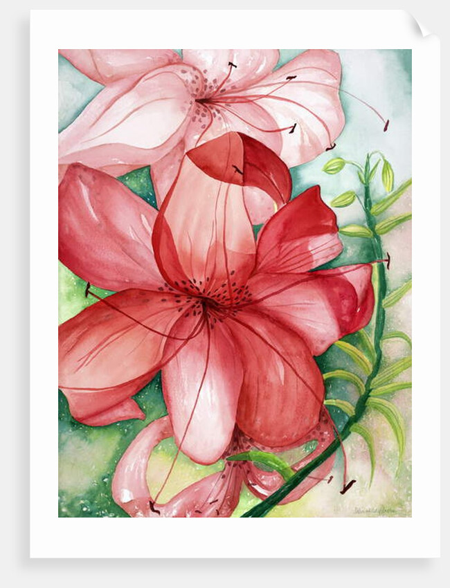 Tigerlily, 2007 by Deborah Eve Alastra