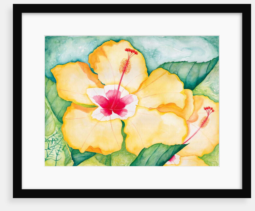 Yellow Hibiscus, 2006 by Deborah Eve Alastra