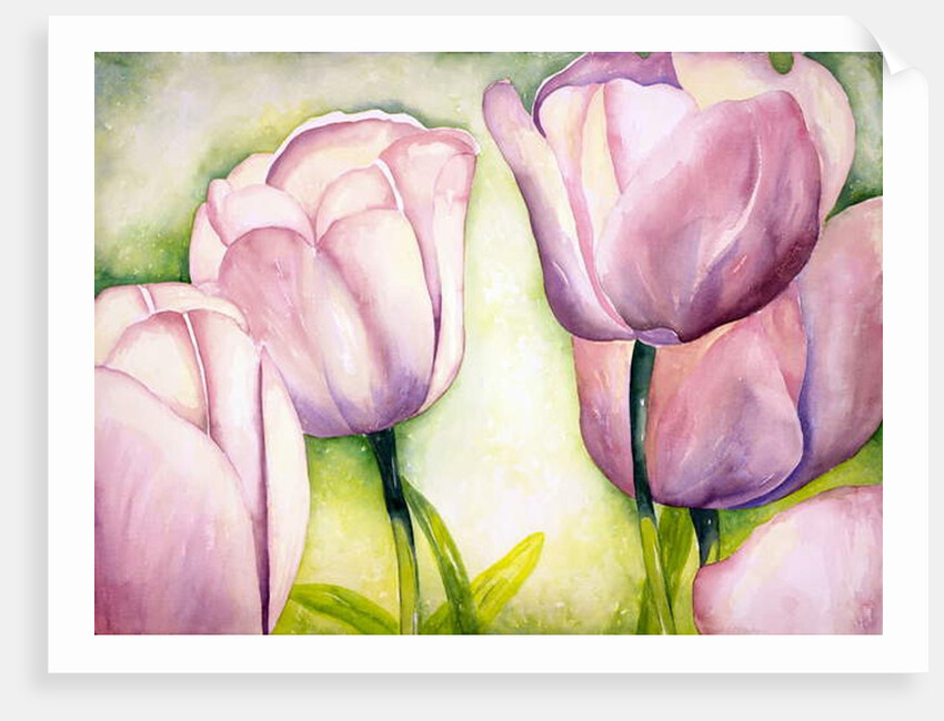 Lavender Tulips, 2006 by Deborah Eve Alastra