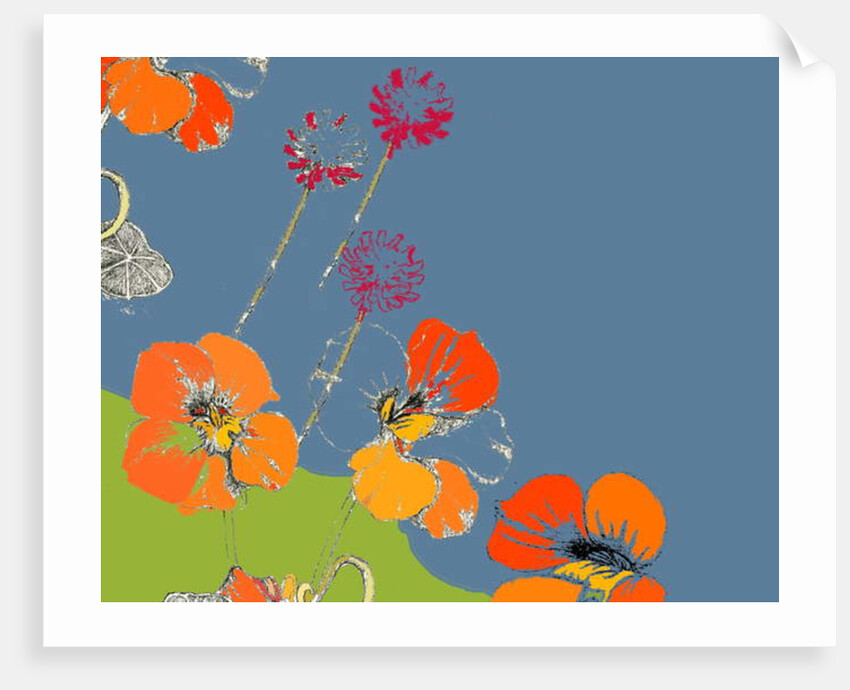 Nasturtium by Anna Platts