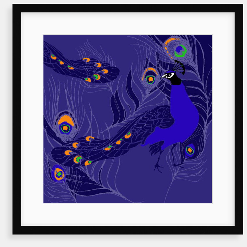 Peacock by Anna Platts