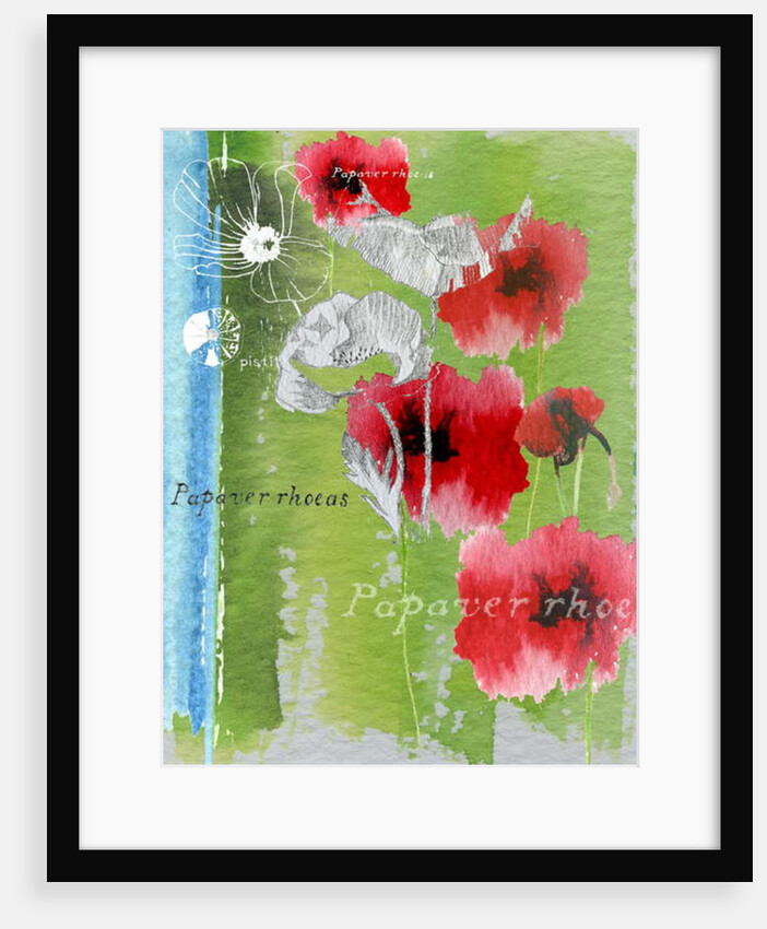 Poppy by Anna Platts