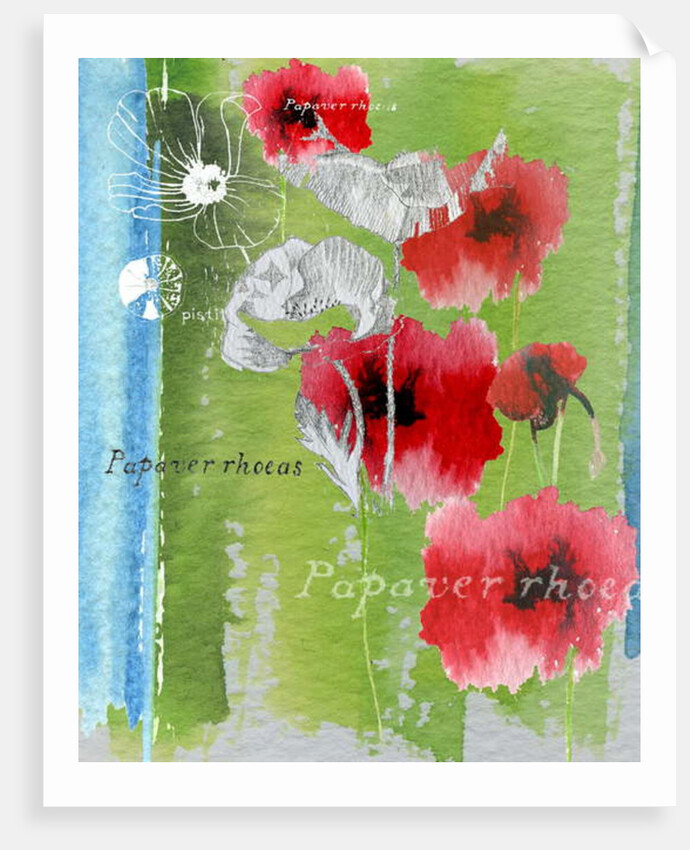 Poppy by Anna Platts