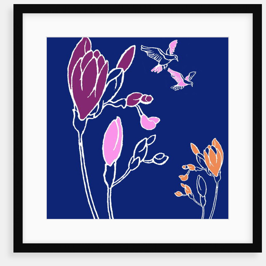 Freesia by Anna Platts