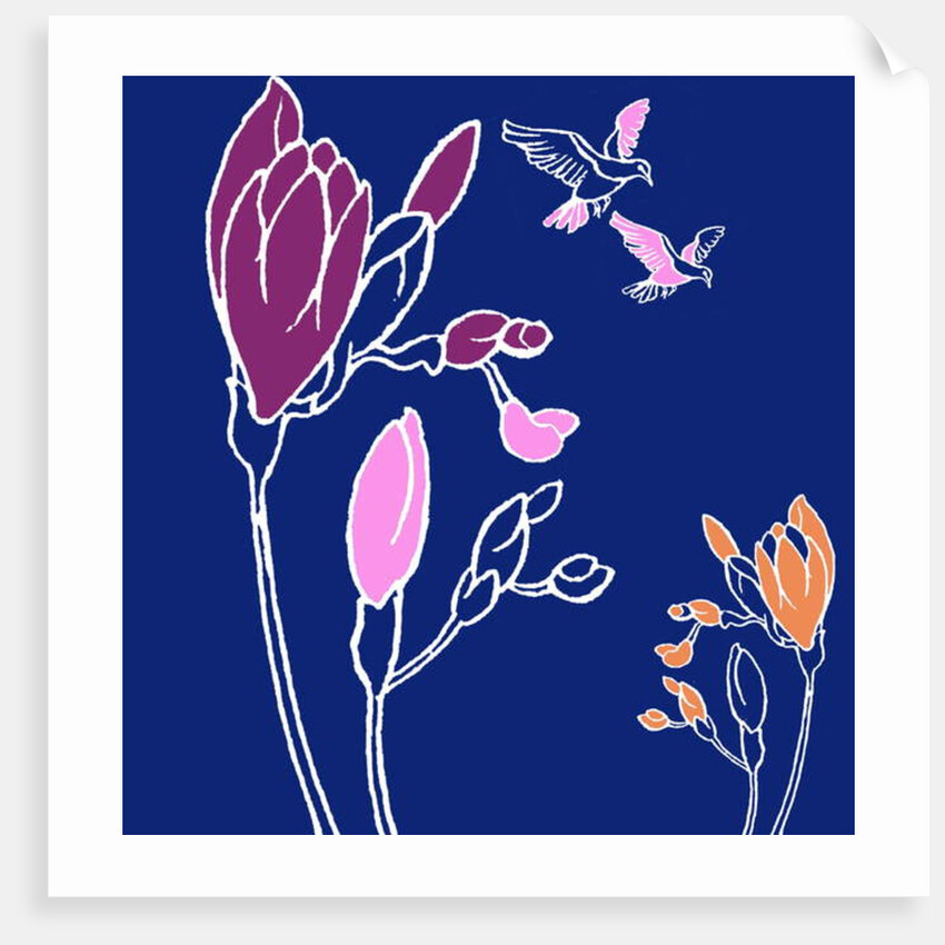 Freesia by Anna Platts
