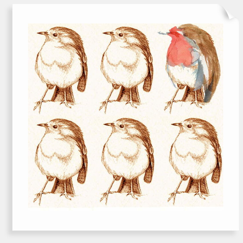 Robin by Anna Platts