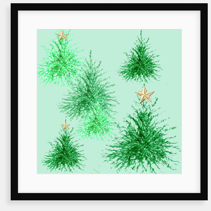 Star Trees by Anna Platts