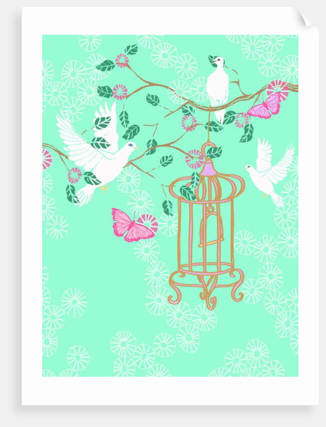 Doves, 2013 by Anna Platts