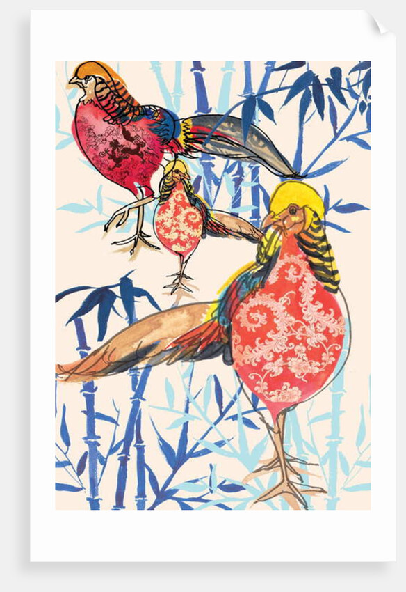 Golden Pheasant, 2013 by Anna Platts