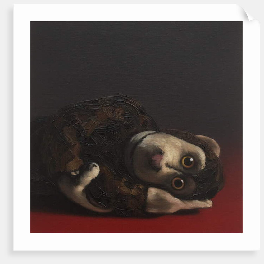 Toby Monkey, 2017 by Peter Jones