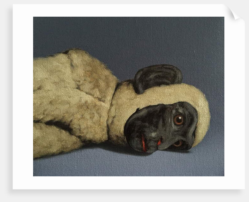 Monkey Still-Life, 2016 by Peter Jones