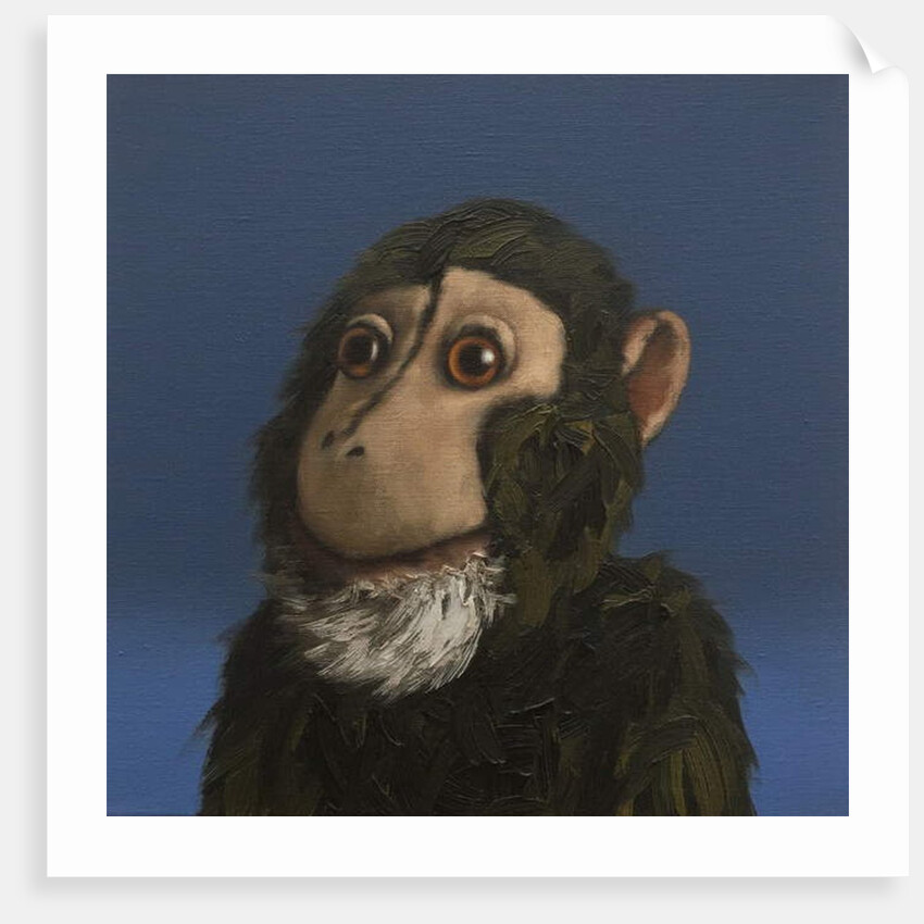 Andy Monkey, 2017 by Peter Jones