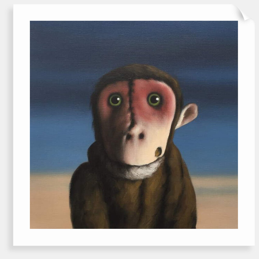 Fergus Monkey, 2017 by Peter Jones