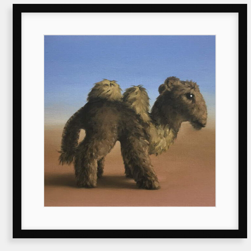 Camel, 2017 by Peter Jones