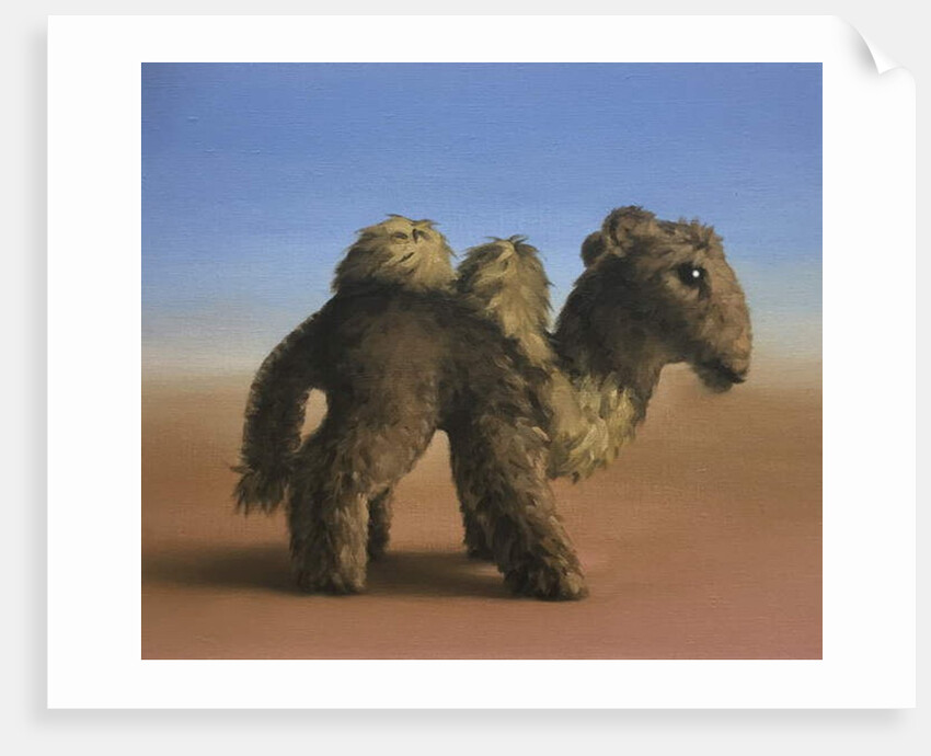 Camel, 2017 by Peter Jones