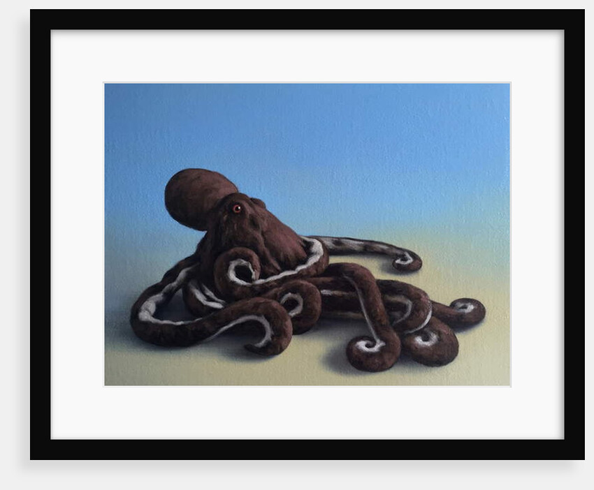 Octopus, 2016 by Peter Jones