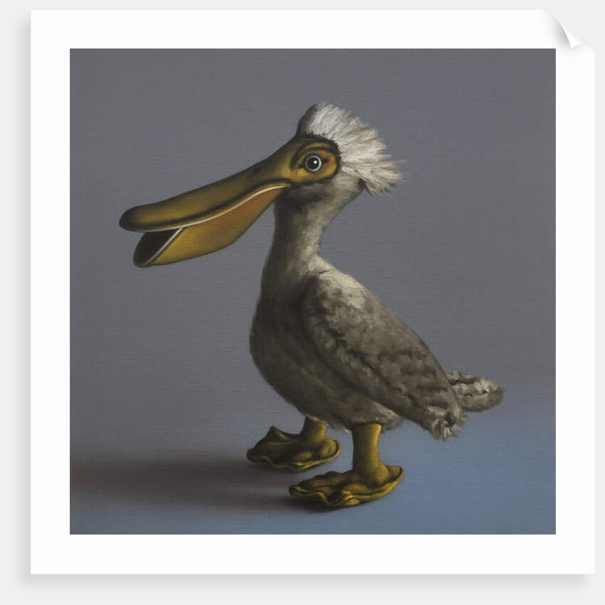 The Pelican, 2017 by Peter Jones
