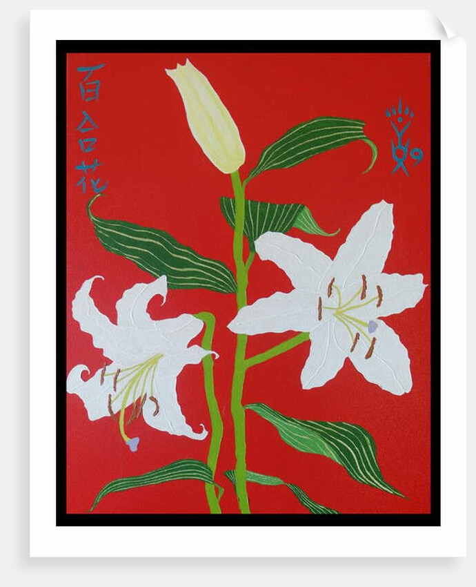 White lily on a red background no.2, 2008 by Timothy Nathan Joel