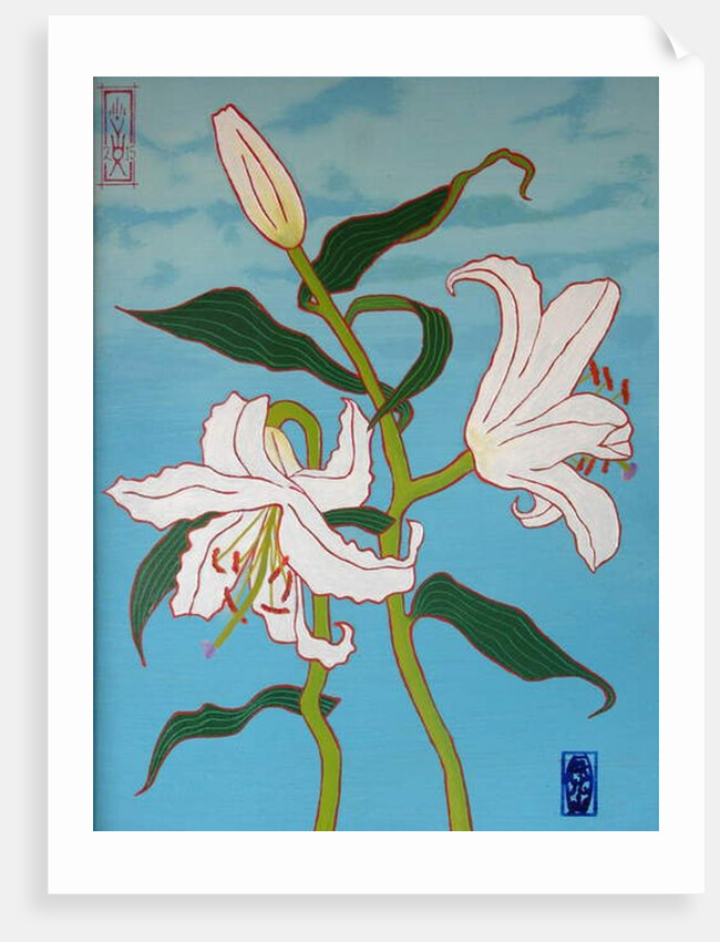 White lily on a blue background, 2010 by Timothy Nathan Joel