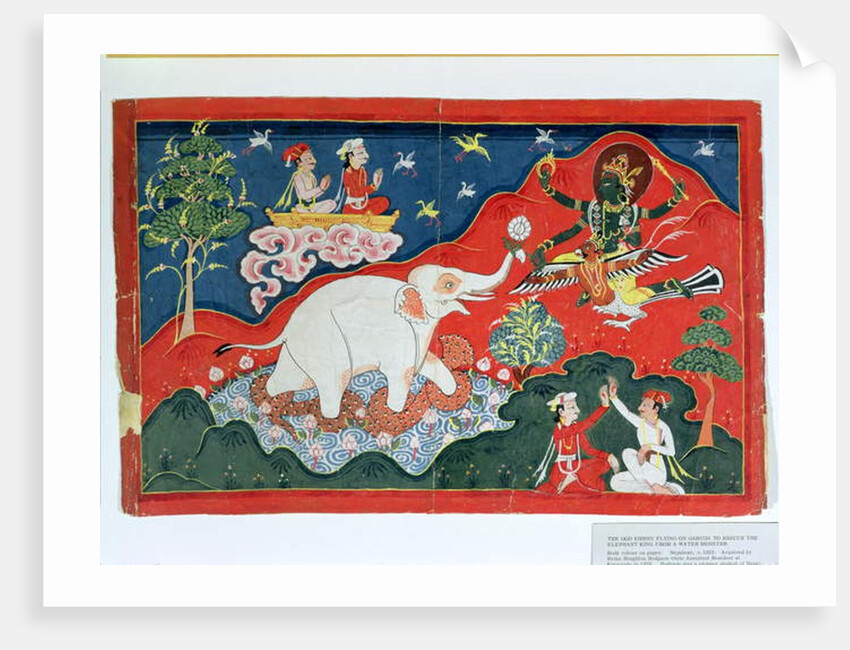 The God Vishnu Flying on Garuda to Rescue the Elephant King from a Water Monster, Nepalese, c.1825 by Indian School