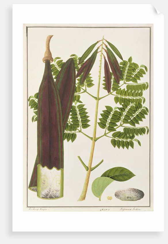 Midnight Horror by School Chinese