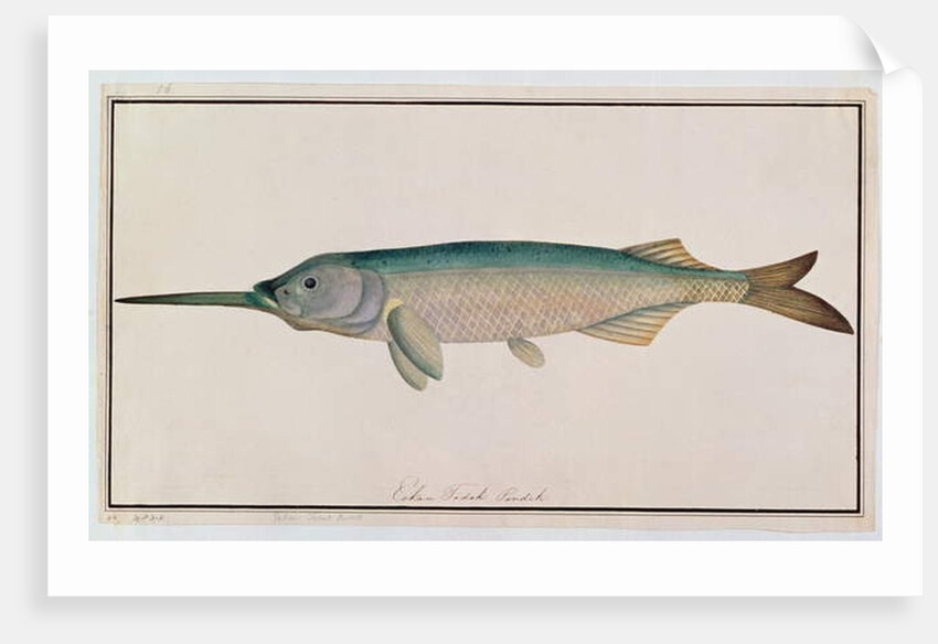 Eekan Todah Pindik by School Chinese