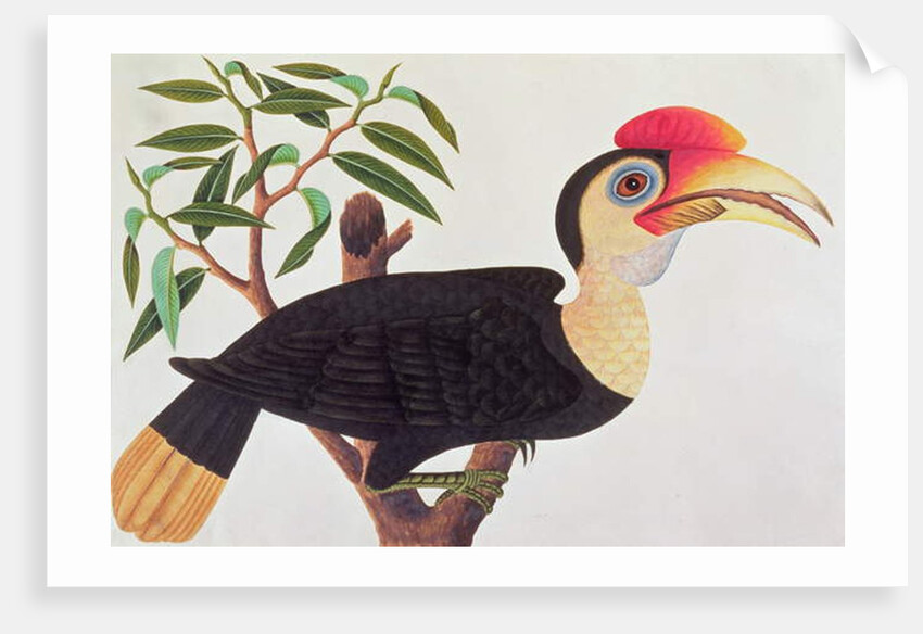 Ke-ke by School Chinese