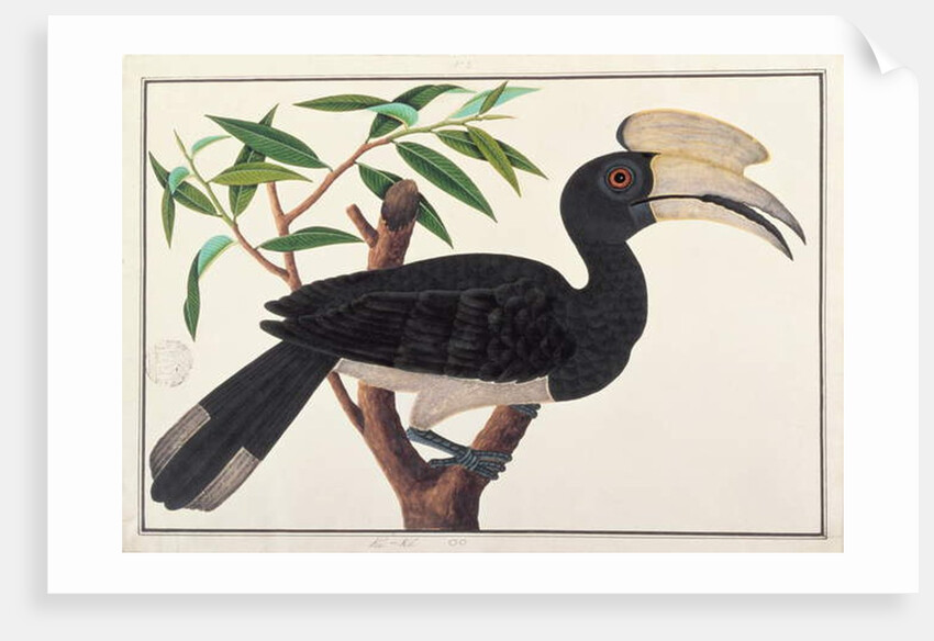 Ke-ke by School Chinese