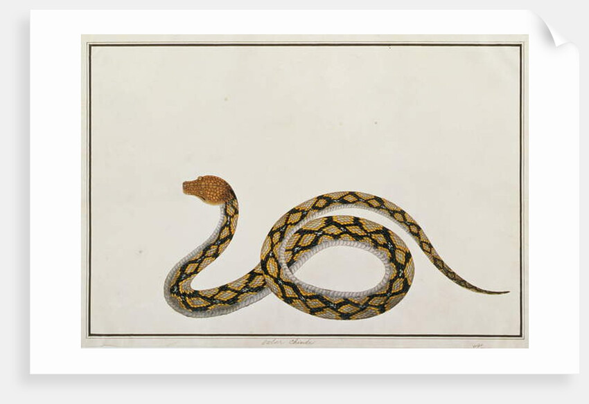 Oolur Chinde by School Chinese