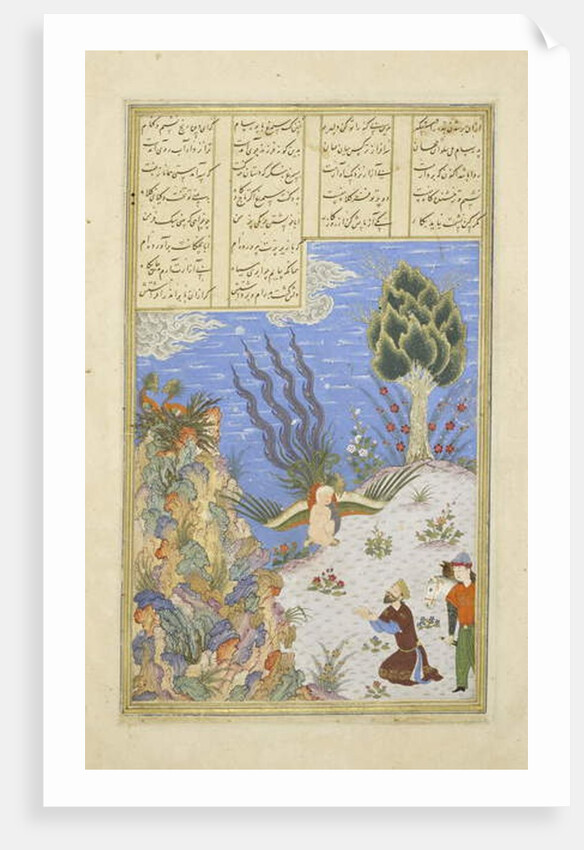 Persian 239 fol.16b The Simurgh restores Z?l to S?m by Persian School