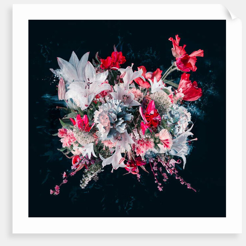 Bouquet V, 2018 by Teis Albers