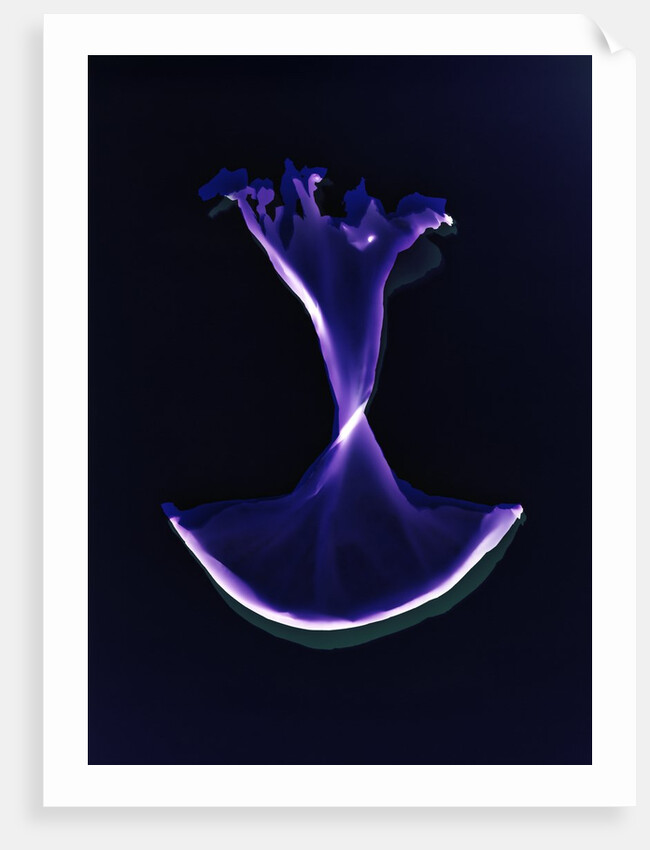 Untitled, 2004, by Richard Green